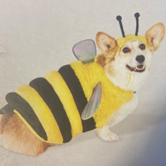 New, Bubble Bee Dog Costume, 2 pieces, Medium (up to 40 lbs) SO soft! - Picture 4 of 12